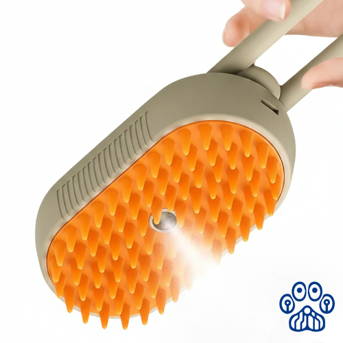 Cepillo Pro-Steam 3 en 1